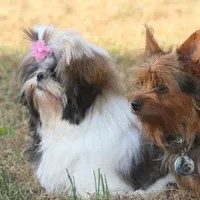 processed/2b772121-3985-419c-84ca-6e310a54ce7f/facility/a4199531-28a8-4c00-9eeb-4195fa7a955e