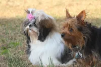 processed/2b772121-3985-419c-84ca-6e310a54ce7f/facility/a4199531-28a8-4c00-9eeb-4195fa7a955e