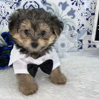 processed/2b772121-3985-419c-84ca-6e310a54ce7f/facility/b52f6b60-1828-481c-a3a2-78d534c5b96e