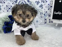 processed/2b772121-3985-419c-84ca-6e310a54ce7f/facility/b52f6b60-1828-481c-a3a2-78d534c5b96e