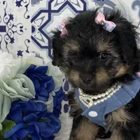 processed/2b772121-3985-419c-84ca-6e310a54ce7f/facility/e2a25f1a-4329-4b3c-9b69-e9b691a17551