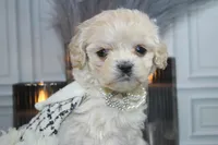 processed/2b772121-3985-419c-84ca-6e310a54ce7f/listing/087c4689-352a-460e-9a94-b7f16d518a32/080ebdb9-18a8-4755-80d2-cdd780214bed