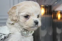 processed/2b772121-3985-419c-84ca-6e310a54ce7f/listing/087c4689-352a-460e-9a94-b7f16d518a32/536f6f84-f158-42ed-9b92-29b875a94735