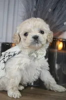 processed/2b772121-3985-419c-84ca-6e310a54ce7f/listing/087c4689-352a-460e-9a94-b7f16d518a32/b78a3483-1a2b-425d-85ef-52caab8f7c27