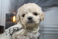 processed/2b772121-3985-419c-84ca-6e310a54ce7f/listing/087c4689-352a-460e-9a94-b7f16d518a32/bea47285-94e9-489d-b3e3-c97d069cb9f3