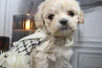 processed/2b772121-3985-419c-84ca-6e310a54ce7f/listing/087c4689-352a-460e-9a94-b7f16d518a32/bea7feb7-597e-40da-adb6-0db8fb3930ca