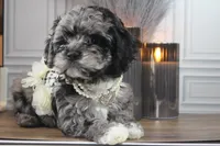 processed/2b772121-3985-419c-84ca-6e310a54ce7f/listing/2446bf72-0221-4b37-866d-bc0387cbb030/2bc91a22-35ca-42a5-b2c1-4746887f8dc0