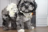 processed/2b772121-3985-419c-84ca-6e310a54ce7f/listing/2446bf72-0221-4b37-866d-bc0387cbb030/5feb7a79-4dc5-4d4a-9626-e893f8b09c98