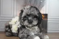 processed/2b772121-3985-419c-84ca-6e310a54ce7f/listing/2446bf72-0221-4b37-866d-bc0387cbb030/7ddf797d-71e3-47ef-909b-70a9f4a71bde