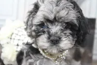 processed/2b772121-3985-419c-84ca-6e310a54ce7f/listing/2446bf72-0221-4b37-866d-bc0387cbb030/a995fc34-9cde-478f-a2ca-310b7f88bead