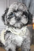 processed/2b772121-3985-419c-84ca-6e310a54ce7f/listing/2446bf72-0221-4b37-866d-bc0387cbb030/c42cb6e5-cdb1-4609-afe1-3627b0036901