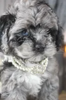 processed/2b772121-3985-419c-84ca-6e310a54ce7f/listing/2446bf72-0221-4b37-866d-bc0387cbb030/d093072f-010f-4f6b-bddc-ecbc0ae855d6