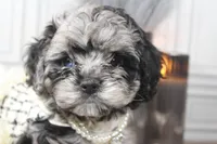 processed/2b772121-3985-419c-84ca-6e310a54ce7f/listing/2446bf72-0221-4b37-866d-bc0387cbb030/d1a1d0bf-f7cb-4f50-8304-c2bfce5b75c3