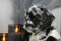 processed/2b772121-3985-419c-84ca-6e310a54ce7f/listing/275fab85-f540-4a97-bc29-a01714e82dcc/22208014-fe67-47ab-af65-f41a2b253951