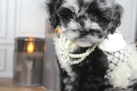 processed/2b772121-3985-419c-84ca-6e310a54ce7f/listing/275fab85-f540-4a97-bc29-a01714e82dcc/301b649d-0b60-4131-a721-d1c6fa523b4f