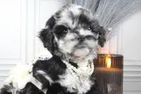 processed/2b772121-3985-419c-84ca-6e310a54ce7f/listing/275fab85-f540-4a97-bc29-a01714e82dcc/a7afae93-7416-4677-8c04-fef24ba0d92f