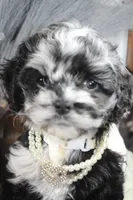 processed/2b772121-3985-419c-84ca-6e310a54ce7f/listing/275fab85-f540-4a97-bc29-a01714e82dcc/bd26075f-9f5f-4ccb-bd5b-200702c133f6