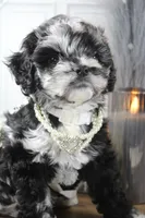 processed/2b772121-3985-419c-84ca-6e310a54ce7f/listing/275fab85-f540-4a97-bc29-a01714e82dcc/c4cdf1a7-69fe-47bd-a740-70f9c5bdbba1