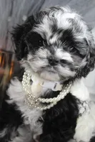 processed/2b772121-3985-419c-84ca-6e310a54ce7f/listing/275fab85-f540-4a97-bc29-a01714e82dcc/c7c4f4d2-65ad-4afc-8983-193fc7c5c511