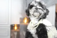 processed/2b772121-3985-419c-84ca-6e310a54ce7f/listing/275fab85-f540-4a97-bc29-a01714e82dcc/e1528fe2-77bd-49e4-ae12-b75819b3e69f