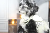 processed/2b772121-3985-419c-84ca-6e310a54ce7f/listing/275fab85-f540-4a97-bc29-a01714e82dcc/e4c15ea1-af6a-4fea-8425-6f74790477ec