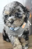 processed/2b772121-3985-419c-84ca-6e310a54ce7f/listing/3c54b50e-3391-4bd1-8da0-5fec407b5f08/0e96300c-e9b5-4d2f-8006-973190c59c89