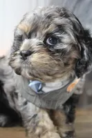 processed/2b772121-3985-419c-84ca-6e310a54ce7f/listing/3c54b50e-3391-4bd1-8da0-5fec407b5f08/512fad9d-b1e1-4bcd-adc5-c9f5b4fdfd67