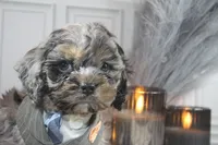 processed/2b772121-3985-419c-84ca-6e310a54ce7f/listing/3c54b50e-3391-4bd1-8da0-5fec407b5f08/85f9a647-db0b-46bf-a2de-5eb37911fa60