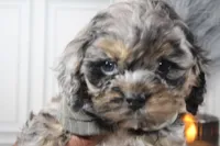 processed/2b772121-3985-419c-84ca-6e310a54ce7f/listing/3c54b50e-3391-4bd1-8da0-5fec407b5f08/91d7a888-ff98-4dc3-99fa-ccf3545f73f3