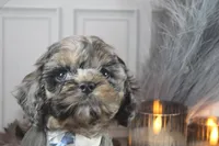 processed/2b772121-3985-419c-84ca-6e310a54ce7f/listing/3c54b50e-3391-4bd1-8da0-5fec407b5f08/9e98f61c-7e57-435d-a5f6-349c3e0db4d0