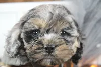 processed/2b772121-3985-419c-84ca-6e310a54ce7f/listing/3c54b50e-3391-4bd1-8da0-5fec407b5f08/e43057c3-10c5-4d48-9e91-ad832b5a30e4