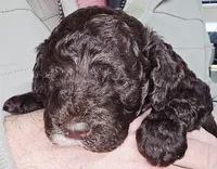 processed/2b7aac66-10a5-4adb-ac6b-c765cf71dc1c/listing/22cb6a8f-8fe7-458b-802b-bf6435ce837b/8909e660-22c5-4f1f-9b9a-1bdc706b892c