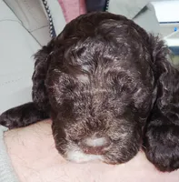 processed/2b7aac66-10a5-4adb-ac6b-c765cf71dc1c/listing/22cb6a8f-8fe7-458b-802b-bf6435ce837b/aab6ac8f-91d0-4b0a-91ec-c01d97752753