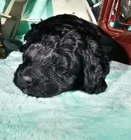 processed/2b7aac66-10a5-4adb-ac6b-c765cf71dc1c/listing/c3c7070e-f48b-4c96-9e6a-1c2d6dbe13ae/0dea2da0-3e39-44d6-9568-97bed534ea84