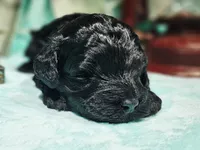 processed/2b7aac66-10a5-4adb-ac6b-c765cf71dc1c/listing/c3c7070e-f48b-4c96-9e6a-1c2d6dbe13ae/5f1e4aec-c57d-49d0-8073-e66fdbd4eee2