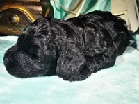 processed/2b7aac66-10a5-4adb-ac6b-c765cf71dc1c/listing/c3c7070e-f48b-4c96-9e6a-1c2d6dbe13ae/d881d6e3-f59a-4149-a871-65496c1d2fcf