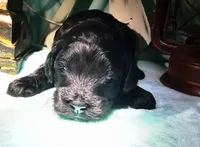 processed/2b7aac66-10a5-4adb-ac6b-c765cf71dc1c/listing/da440dde-be50-4034-bd0c-c33868de975f/6032a9f7-6ba3-4143-bf01-8529f69ce54f