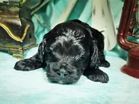 processed/2b7aac66-10a5-4adb-ac6b-c765cf71dc1c/listing/da440dde-be50-4034-bd0c-c33868de975f/9076f78e-80b9-46d2-a375-5e16117561d9