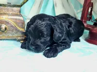 processed/2b7aac66-10a5-4adb-ac6b-c765cf71dc1c/listing/da440dde-be50-4034-bd0c-c33868de975f/d3090c0f-9ac0-468a-b280-ef41bbf3f4c2