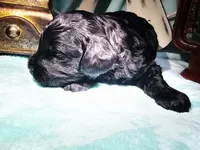 processed/2b7aac66-10a5-4adb-ac6b-c765cf71dc1c/listing/da440dde-be50-4034-bd0c-c33868de975f/f9ab926e-6b50-476b-bd42-c01699a11cf5