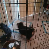 processed/2b821dde-d1c8-4597-958c-dc548aabeabb/facility/0fcdd64f-a462-46aa-b11f-35c33f0d4fc2