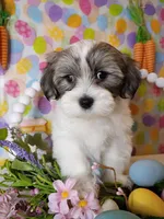 processed/2b821dde-d1c8-4597-958c-dc548aabeabb/facility/49d72114-f56c-4991-8af1-4f30e3099430