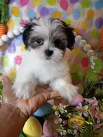 processed/2b821dde-d1c8-4597-958c-dc548aabeabb/facility/4b8be449-6452-4daf-89eb-aca9b52c36f5