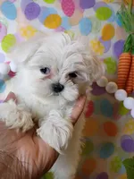 processed/2b821dde-d1c8-4597-958c-dc548aabeabb/facility/60f80009-df06-4aca-9048-cd3fafe072d1