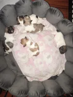 processed/2b821dde-d1c8-4597-958c-dc548aabeabb/facility/68e8bf36-015e-4049-bedb-ae836002b1f1