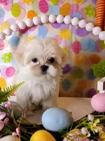 processed/2b821dde-d1c8-4597-958c-dc548aabeabb/facility/83d55de1-fd13-4efa-bc04-d4a2fcba0ac8