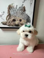 processed/2b821dde-d1c8-4597-958c-dc548aabeabb/facility/996168e6-1098-4e28-8c83-54cbc1cdcb82