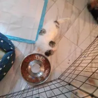 processed/2b821dde-d1c8-4597-958c-dc548aabeabb/facility/c04011e8-b84a-4a5f-821e-8fde25b1db59