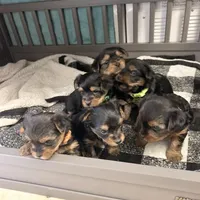 processed/2b866c4d-123a-4bd6-abcc-6c8006639e08/facility/537bd505-3a17-4a83-8b7c-1bbad73eb434