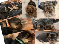 processed/2b866c4d-123a-4bd6-abcc-6c8006639e08/facility/72f7b057-af96-418d-a668-43baf44fe0e7